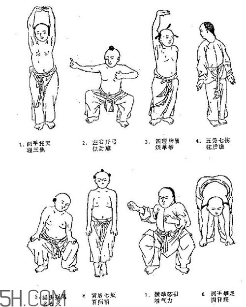 八段锦和五禽戏哪个更好