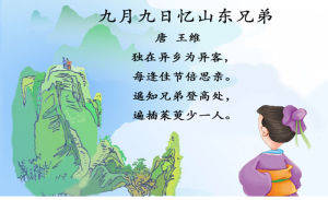 每逢佳节倍思亲的全诗是什么?