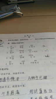竹字的拼音