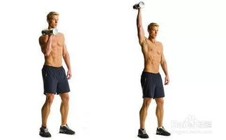 三角肌的锻炼方法