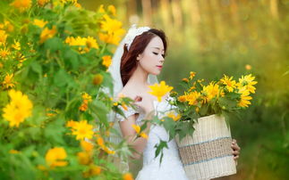 平平淡淡的解释是什么?