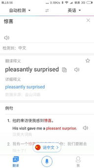惊喜用英文怎么写?
