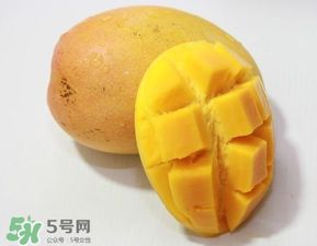 芒果什么季节成熟芒果成熟的时间