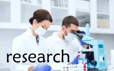 research可数么?