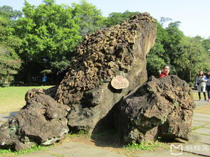 海口火山口公园游记