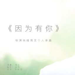 杨钰莹的《因为有你》歌词