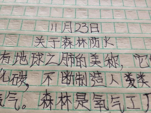 森林防火作文