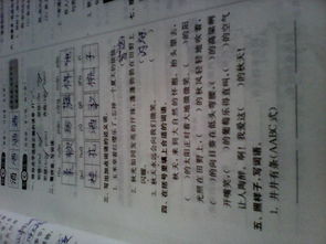 永远的反义词是什么?