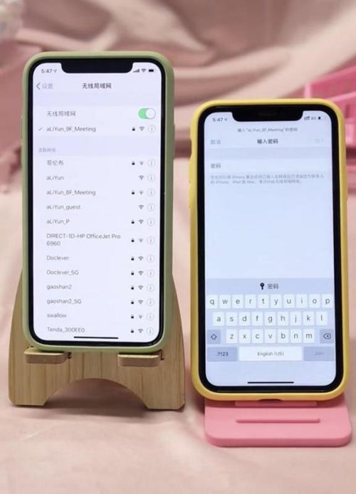 苹果如何分享wifi密码