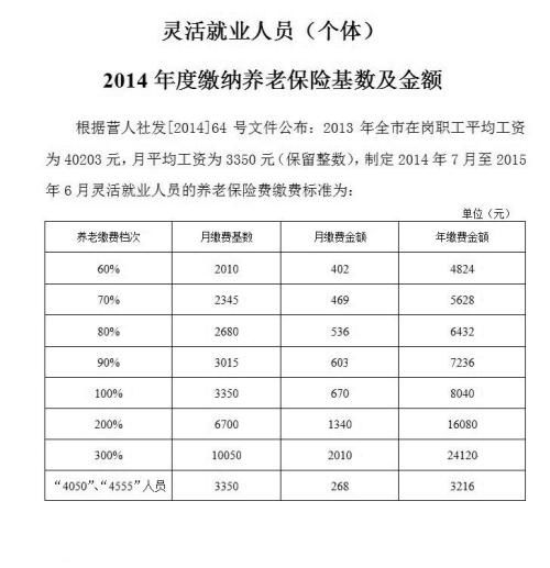 个人缴费基数是什么意思