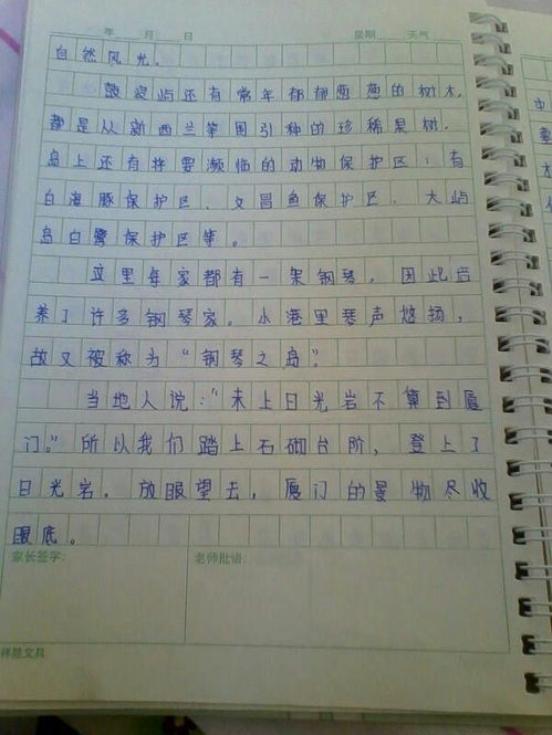 周记作文300字