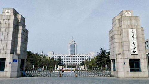 山东大学有哪几个校区?地址在哪里?