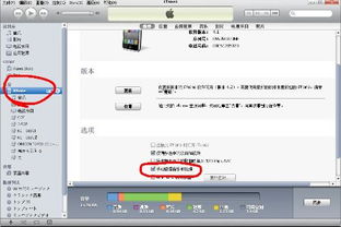 苹果itunes怎么用
