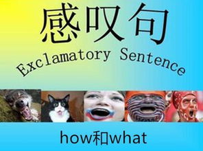 感叹句what和how的用法?