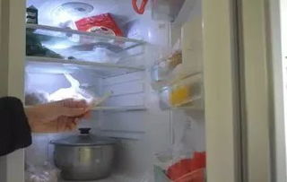 用什么除冰箱里的臭味