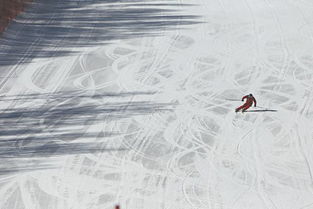 燕山雪花大如席是什么意思