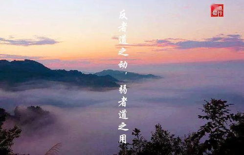 反者道之动弱者道之用什么意思?