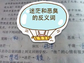 迷茫的反义词