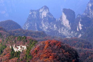 云台山茱萸峰有多高?