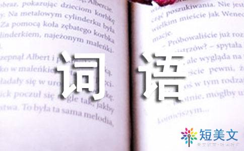 形容速度快的四个字的词语有哪些