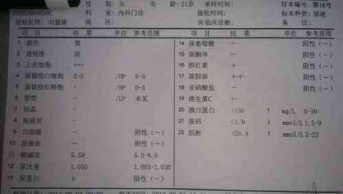 白细胞是什么意思