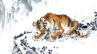 八面玲珑是指什么生肖?