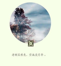 带天字的古诗句有哪些