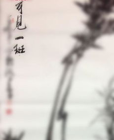 可见一斑是什么意思 可见一斑造句 近义词