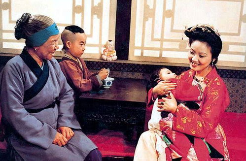 刘姥姥一进荣国府的简要内容及含意!急~