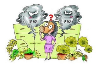 甲醛是什么东西里面出来的呢?