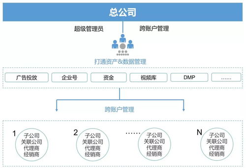 两个人在银行开共同账号是什么意思
