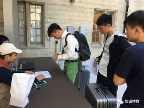 bowel是什么意思