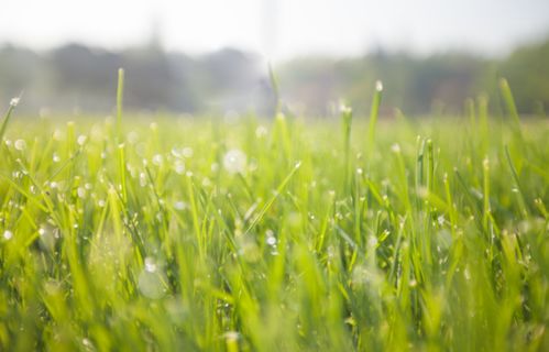 春天是什么填空?