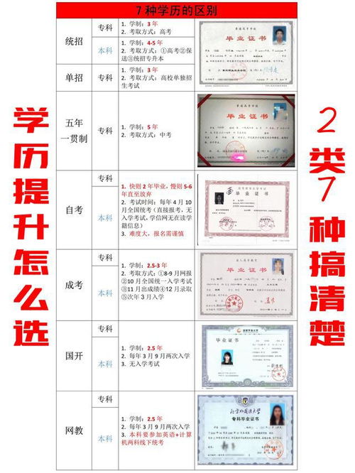 学历类别有几种?