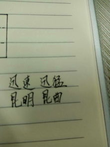 昆怎么组词