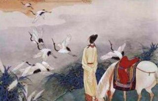 小令是什么意思