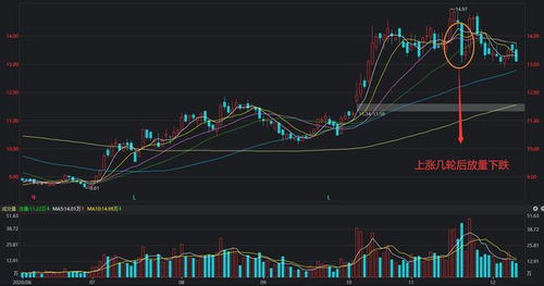 放量下跌意味着什么意思