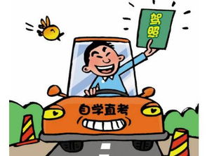 考驾照全部费用多少