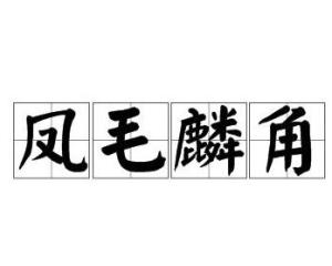 凤毛麟角的意思?
