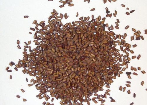 决明子主要是拿来做什么的?可以预防什么疾病?