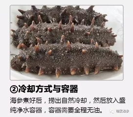 如何泡发海参?什么方法才是最正确的做法?