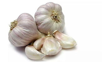 吃了蒜怎么快速去味