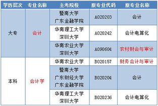 什么是会计与审计专业?