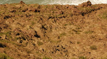 什么是一类土、二类土、三类土?区别是什么?