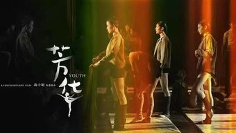 芳华是什么意思