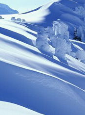 新雪地大逃亡素素出了圣杯怎么打