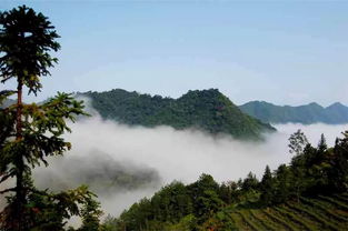 安徽最美山村,位于皖南两座名山之间,是国内三大富硒地之一