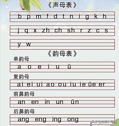 前鼻音韵母和后鼻音韵母有哪些呢?