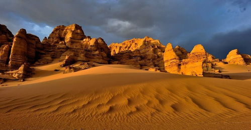 新疆外来人口有多少