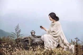 恬静是什么意思?